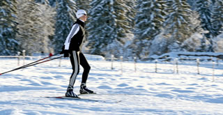 Sunny cross country tracks