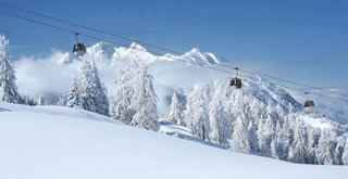 Skiing holiday with friends and family